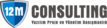 12M Consulting