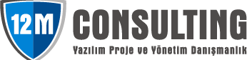 12M Consulting